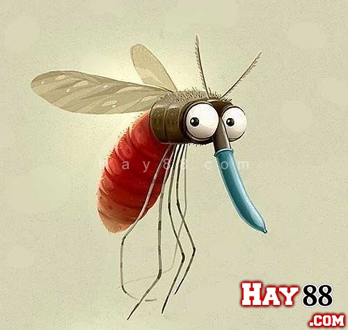 56e2ae80cf756bdfb642b0e73873abe4 43138211.hay88anhvuithang479354gf