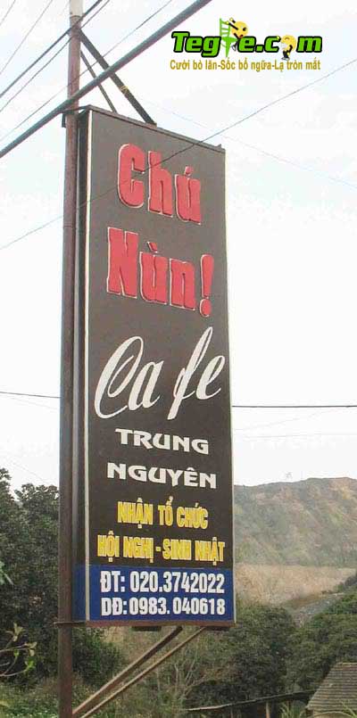 90306bienhieu4