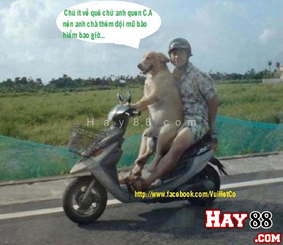 Da4708bb4ee013680280c15a095f9bc9 43138206.hay88anhvuithang461517gf
