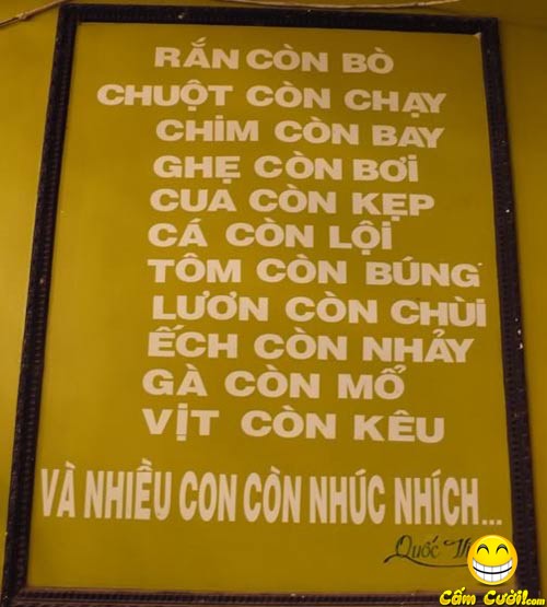 Dacsantiengviet14